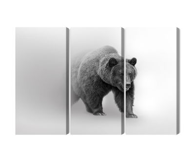 Ljuddämpande tavla - Bear in the fog 3d