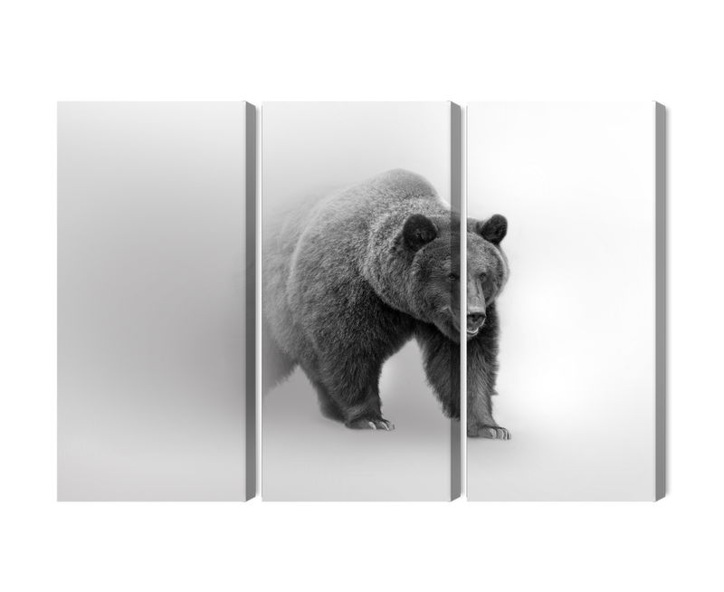 Ljuddämpande tavla - Bear in the fog 3d