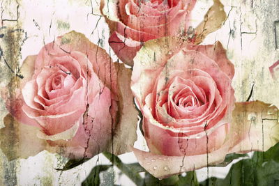 Ljuddämpande tavla - Vintage 3d roses