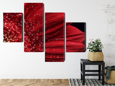 Ljuddämpande tavla - Flower petals on a macro