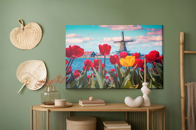 Ljuddämpande tavla - Tulips on a dutch windmill