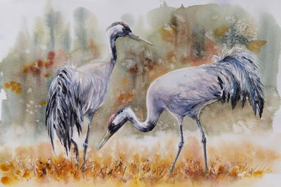 Ljuddämpande tavla - Cranes on field