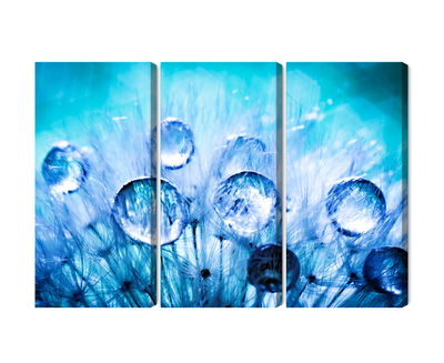 Ljuddämpande tavla - Dew drops on dandelion seeds