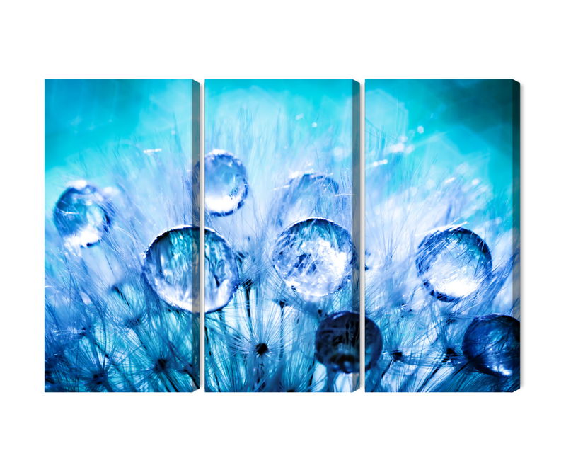 Ljuddämpande tavla - Dew drops on dandelion seeds