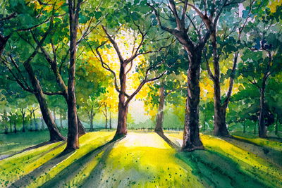 Ljuddämpande tavla - Forest in the morning