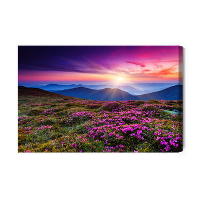 Ljuddämpande tavla - Beautiful mountain country