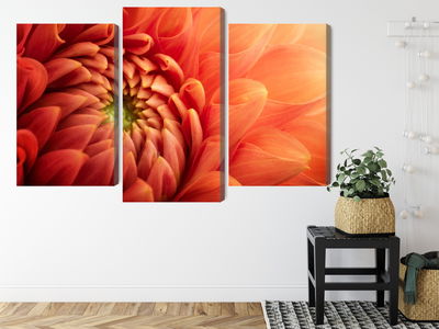 Ljuddämpande tavla - Orange chrysanthemum