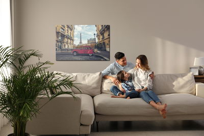 Ljuddämpande tavla - Car and architecture of Paris