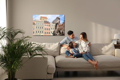 Ljuddämpande tavla - The statue of the mermaid