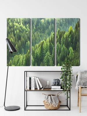 Ljuddämpande tavla - The green of the forest