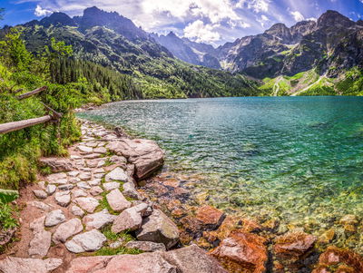 Ljuddämpande tavla - 3d view of the lake