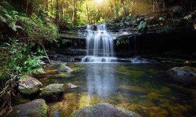 Ljuddämpande tavla - A waterfall in the bush