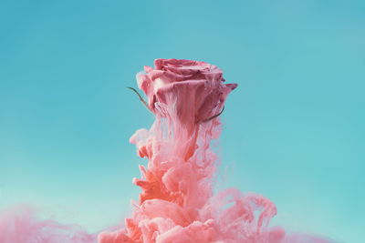 Ljuddämpande tavla - Beautiful rose