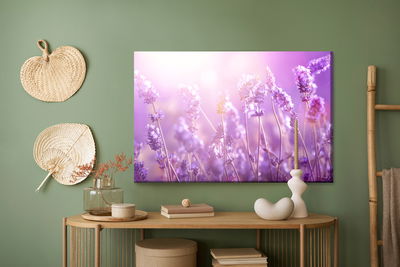 Ljuddämpande tavla - Lavender flowers in the sun