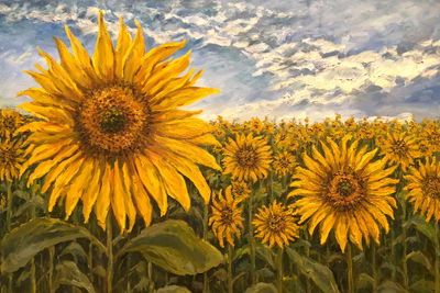 Ljuddämpande tavla - Sunflower field as painted 3d