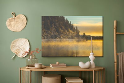 Ljuddämpande tavla - Winter country