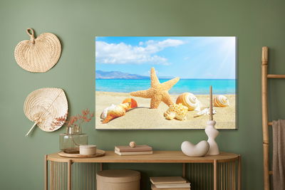 Ljuddämpande tavla - Sea beach and seashells