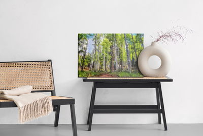 Ljuddämpande tavla - Beautiful summer country