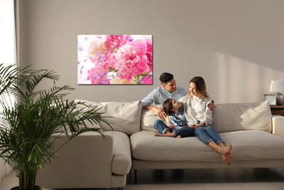 Ljuddämpande tavla - Pink peonies