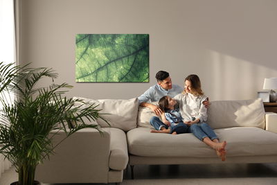 Ljuddämpande tavla - Abstract leaf texture