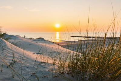 Ljuddämpande tavla - Sunset on the baltic sea