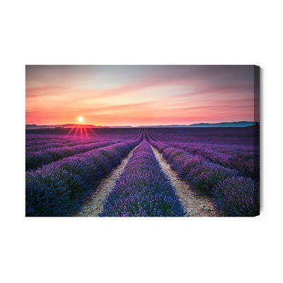 Ljuddämpande tavla - Lavender field at sunset