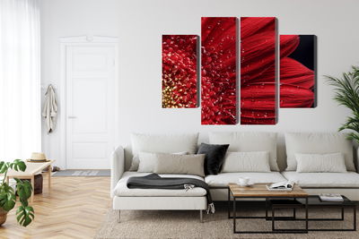 Ljuddämpande tavla - Flower petals on a macro