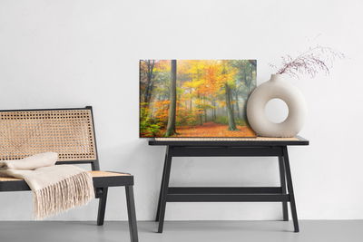 Ljuddämpande tavla - Misty autumn forest
