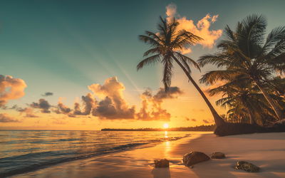 Ljuddämpande tavla - Sunset on the dominican beach