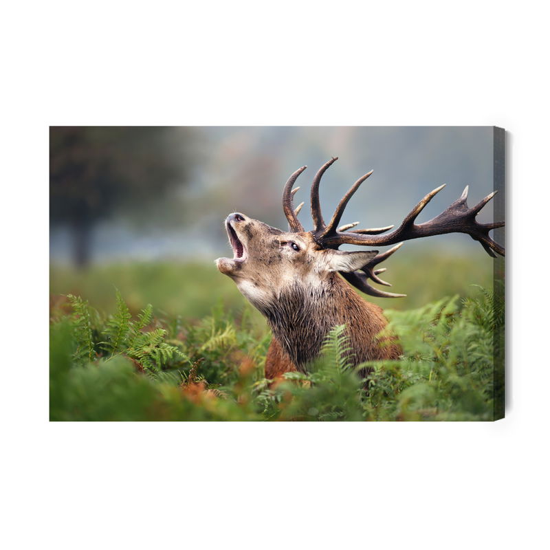 Ljuddämpande tavla - A roaring deer