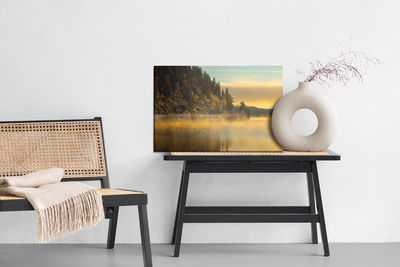 Ljuddämpande tavla - Winter country