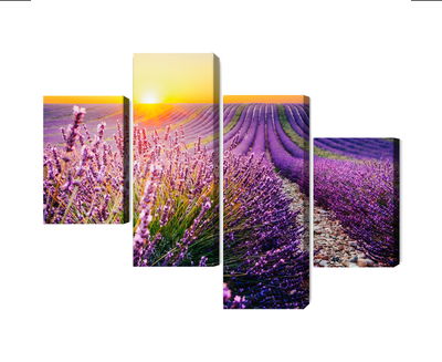 Ljuddämpande tavla - Lavender field at sunset 3d