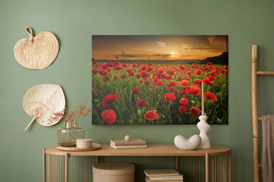 Ljuddämpande tavla - Field of poppies at sunset 3d
