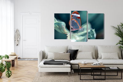 Ljuddämpande tavla - Glass-winged butterfly close