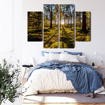 Ljuddämpande tavla - Morning sun rays