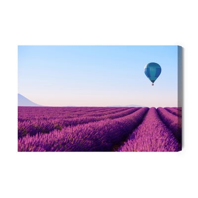 Ljuddämpande tavla - Balloon over a lavender field