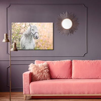 Ljuddämpande tavla - Horse on a background