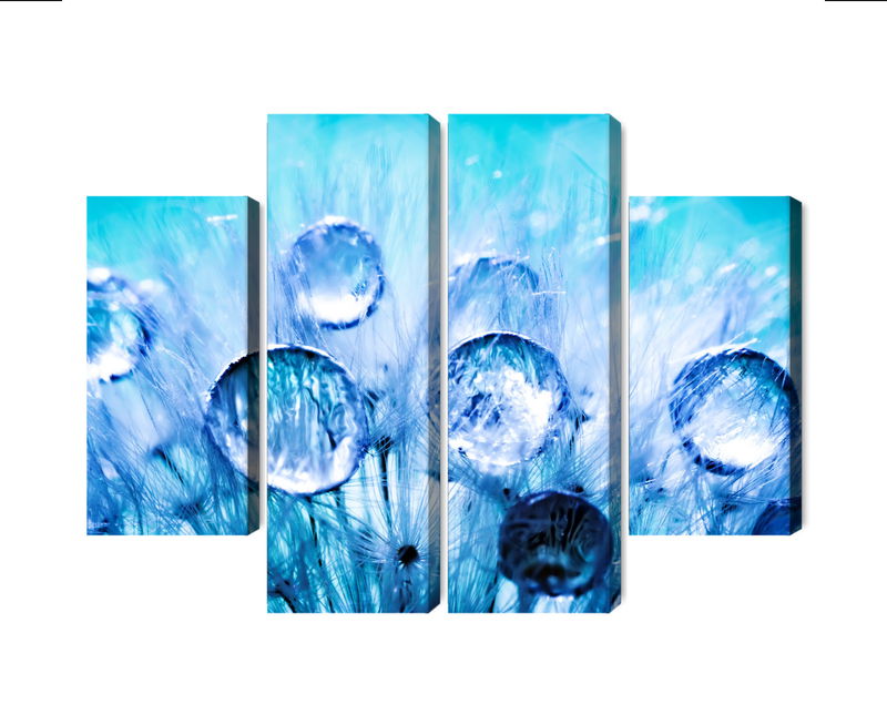 Ljuddämpande tavla - Dew drops on dandelion seeds