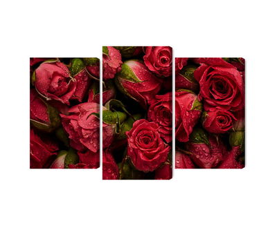 Ljuddämpande tavla - Roses with water drops