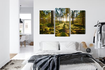 Ljuddämpande tavla - Forest landscape with sunset