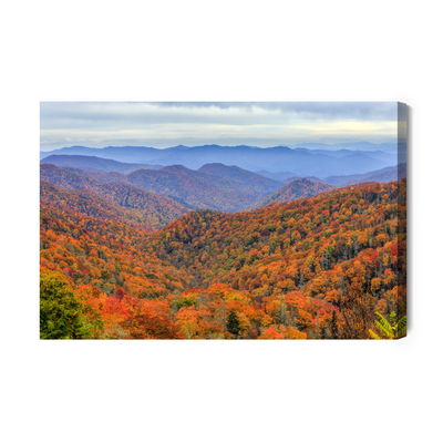 Ljuddämpande tavla - Autumn forest