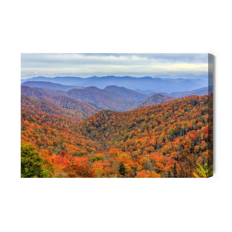 Ljuddämpande tavla - Autumn forest