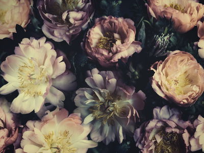 Ljuddämpande tavla - A bouquet of colorful