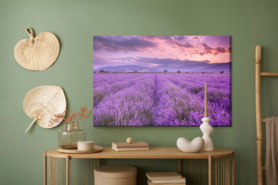 Ljuddämpande tavla - Beautiful lavender landscape
