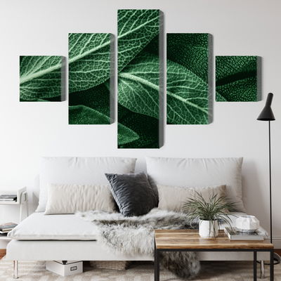 Ljuddämpande tavla - Salvia leaves on a macro