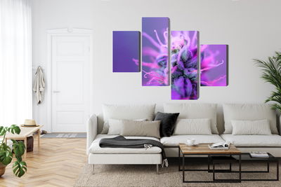 Ljuddämpande tavla - Macro plant on a pink-purple