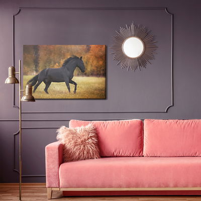 Ljuddämpande tavla - Black horse in the clearing