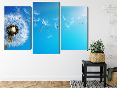 Ljuddämpande tavla - Dandelion with flying seeds