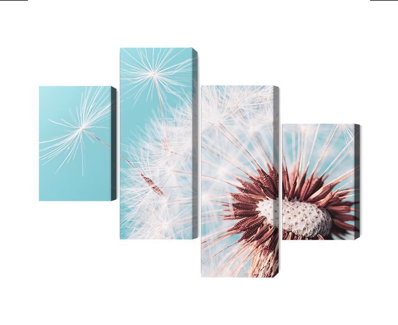 Ljuddämpande tavla - Dandelion flower on a macro