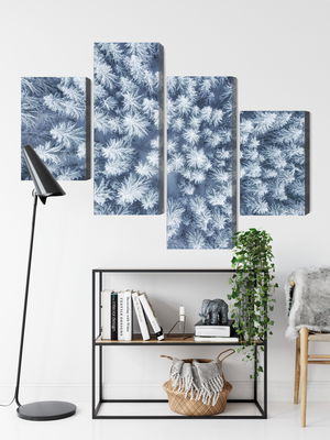 Ljuddämpande tavla - Aerial view of the winter